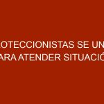 Proteccionistas se unen para atender situación de abandono de mascotas