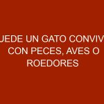 Puede un gato convivir con peces, aves o roedores