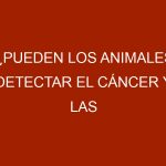 ¿Pueden los animales detectar el cáncer y las enfermedades?