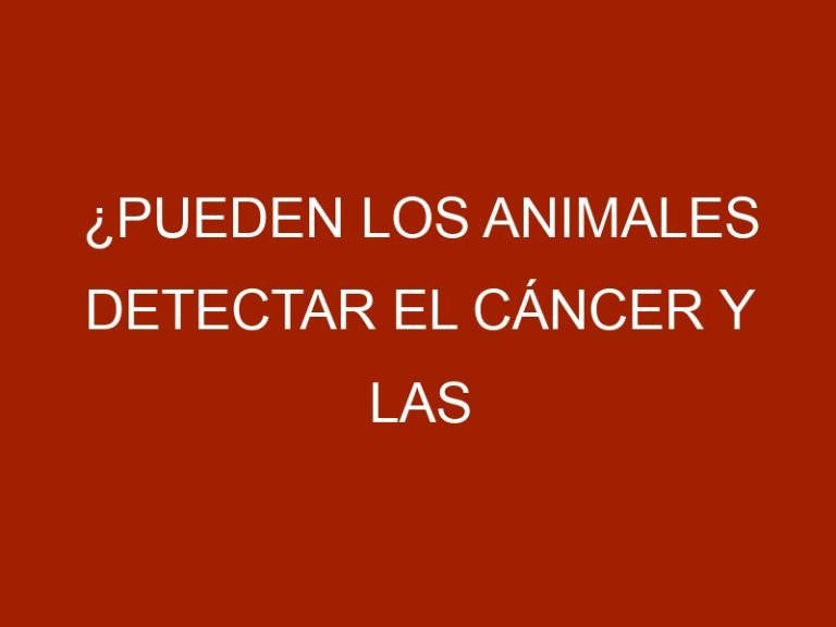 ¿Pueden los animales detectar el cáncer y las enfermedades?