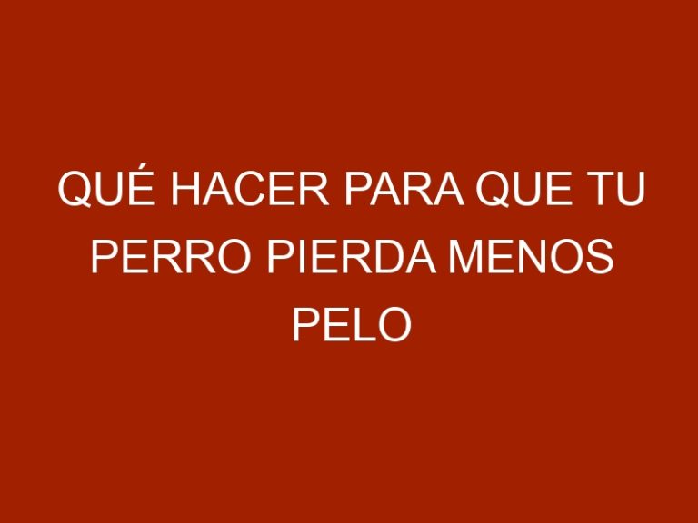Qué hacer para que tu Perro pierda menos pelo