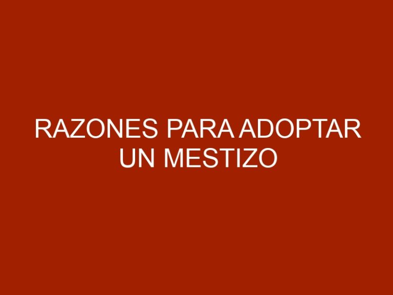 Razones para adoptar un mestizo