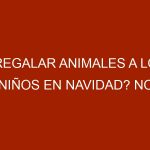 ¿Regalar animales a los niños en Navidad? No son un juguete