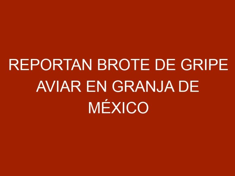 Reportan brote de gripe aviar en granja de México