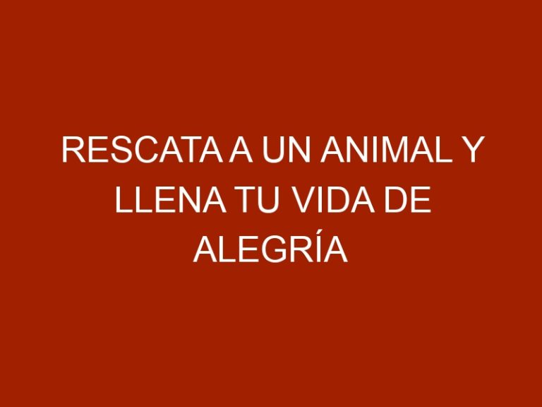Rescata a un animal y llena tu vida de alegría