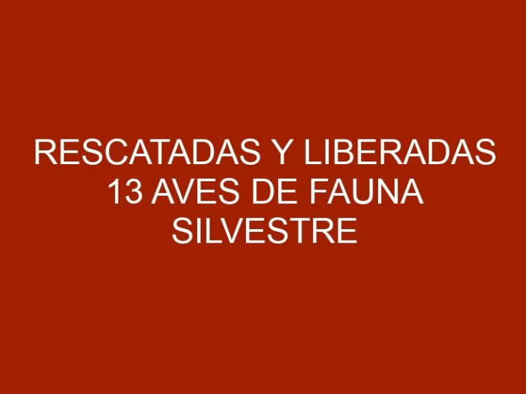 Rescatadas y liberadas 13 aves de fauna silvestre en Trujillo