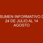 Resumen informativo del 24 de julio al 14 agosto