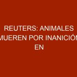 Reuters: Animales mueren por inanición en zoológicos de Venezuela