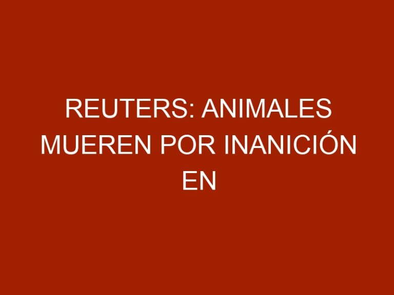 Reuters: Animales mueren por inanición en zoológicos de Venezuela
