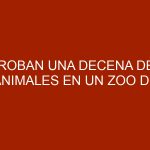 Roban una decena de animales en un zoo de Venezuela