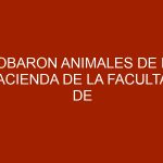 Robaron animales de la hacienda de la Facultad de Veterinaria en Machiques