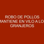 Robo de pollos mantiene en vilo a los granjeros