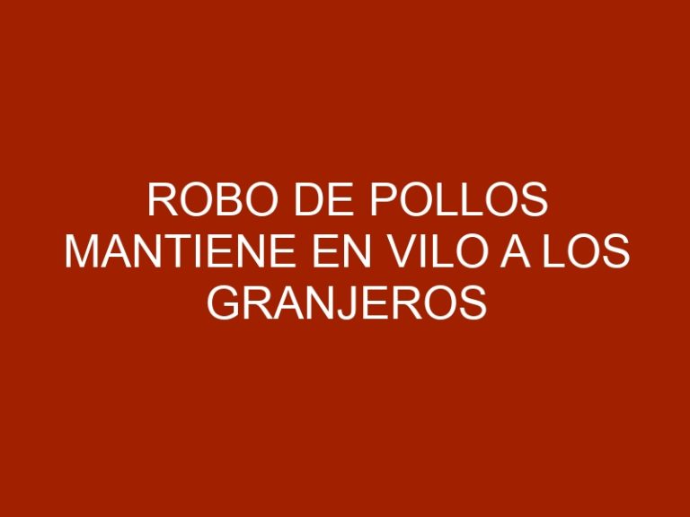 Robo de pollos mantiene en vilo a los granjeros