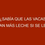 ¿Sabía que las vacas dan más leche si se les pone nombre?