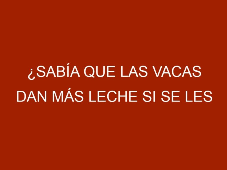 ¿Sabía que las vacas dan más leche si se les pone nombre?
