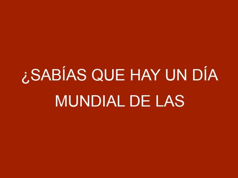 ¿Sabías que hay un Día Mundial de las Tortugas? ¡Es hoy!