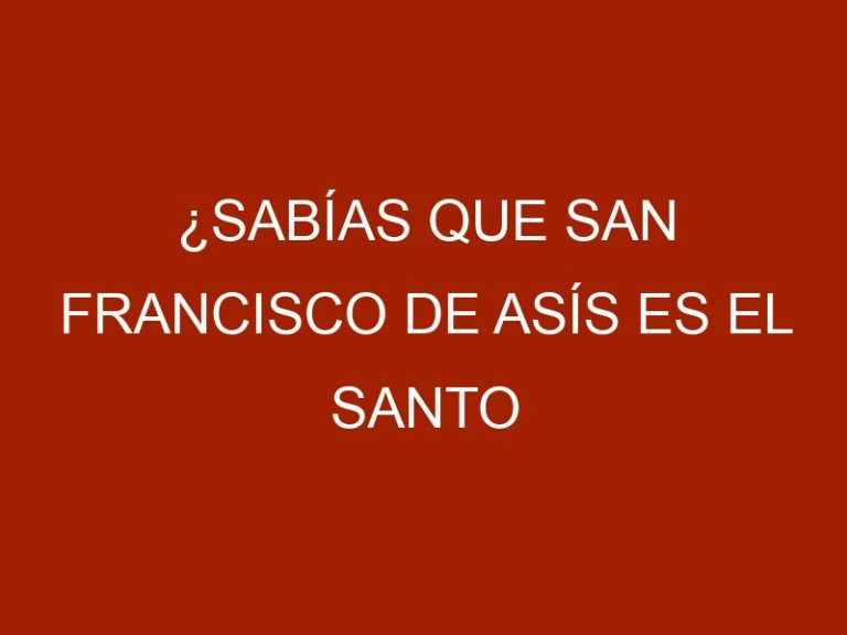 ¿Sabías que San Francisco de Asís es el Santo Patrono de los Animales?