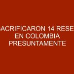 Sacrificaron 14 reses en colombia presuntamente provenientes de Venezuela