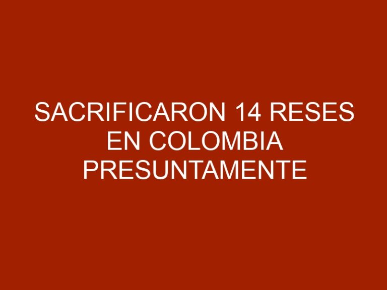 Sacrificaron 14 reses en colombia presuntamente provenientes de Venezuela