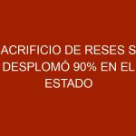 Sacrificio de reses se desplomó 90% en el estado Zulia