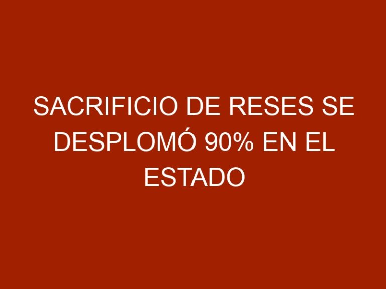Sacrificio de reses se desplomó 90% en el estado Zulia