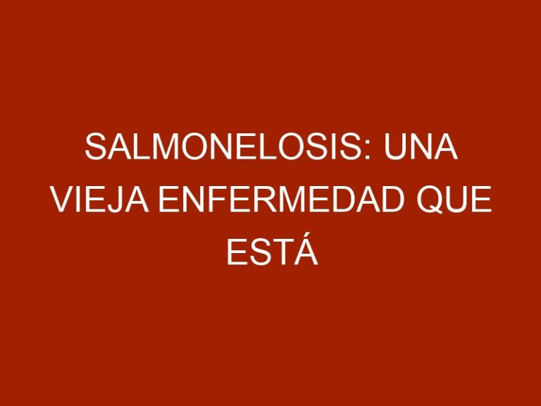 Salmonelosis: una vieja enfermedad que está haciendo estragos en Venezuela