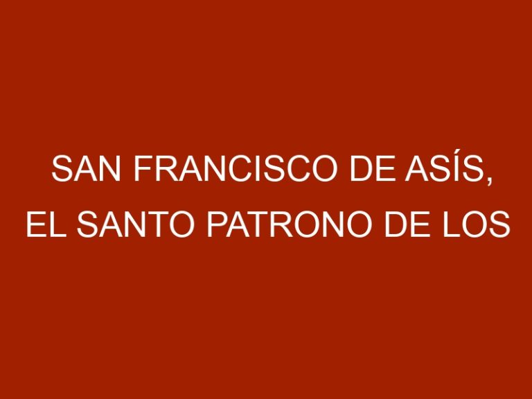 San Francisco de Asís, el Santo Patrono de los Animales