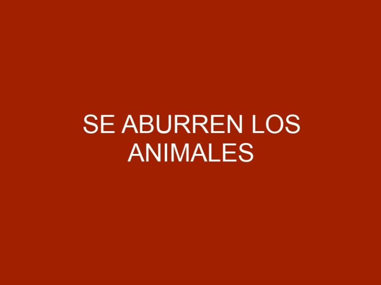 Se aburren los animales