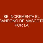 Se incrementa el abandono de mascotas por la escasez e la inflación