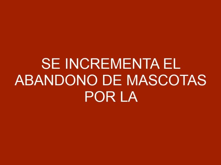 Se incrementa el abandono de mascotas por la escasez e la inflación