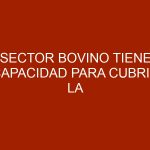Sector bovino tiene capacidad para cubrir la mitad de la demanda nacional