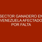 Sector ganadero en Venezuela afectado por falta de insumos