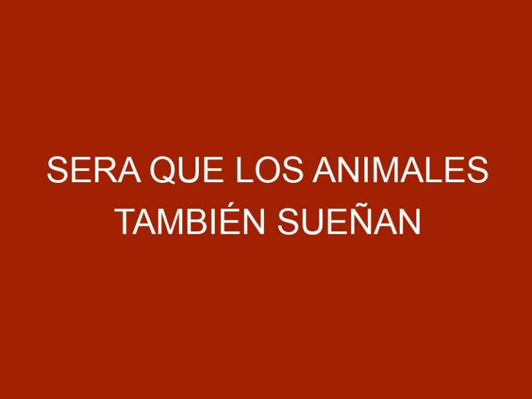 Sera que los animales también sueñan
