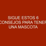Sigue estos 6 consejos para tener una mascota feliz