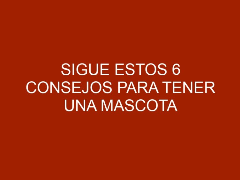 Sigue estos 6 consejos para tener una mascota feliz