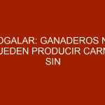 Sogalar: Ganaderos no pueden producir carne sin insumos