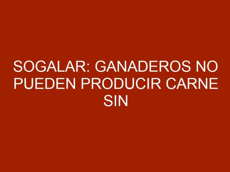 Sogalar: Ganaderos no pueden producir carne sin insumos