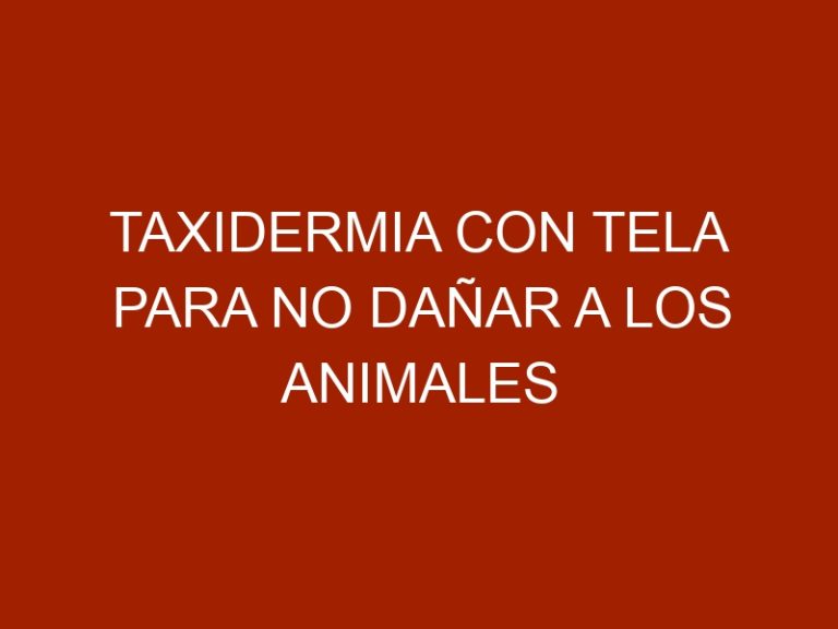 Taxidermia con tela para no dañar a los animales