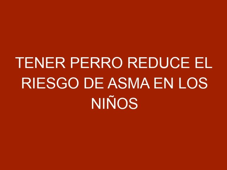 Tener perro reduce el riesgo de asma en los niños