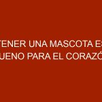 Tener una mascota es bueno para el corazón