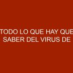 Todo lo que hay que saber del Virus de Inmunodeficiencia Felina