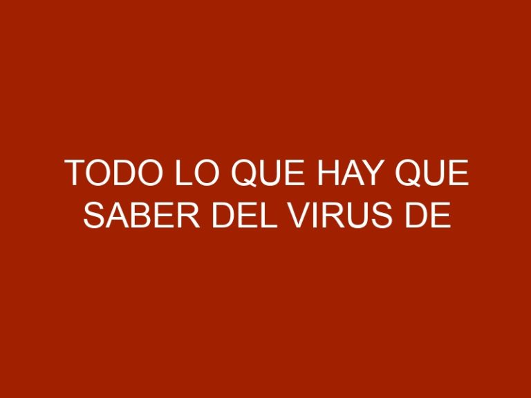 Todo lo que hay que saber del Virus de Inmunodeficiencia Felina