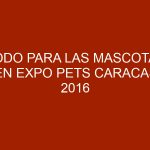 Todo para las mascotas en Expo Pets Caracas 2016