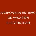 Transformar estiércol de vacas en electricidad, buen negocio en una granja