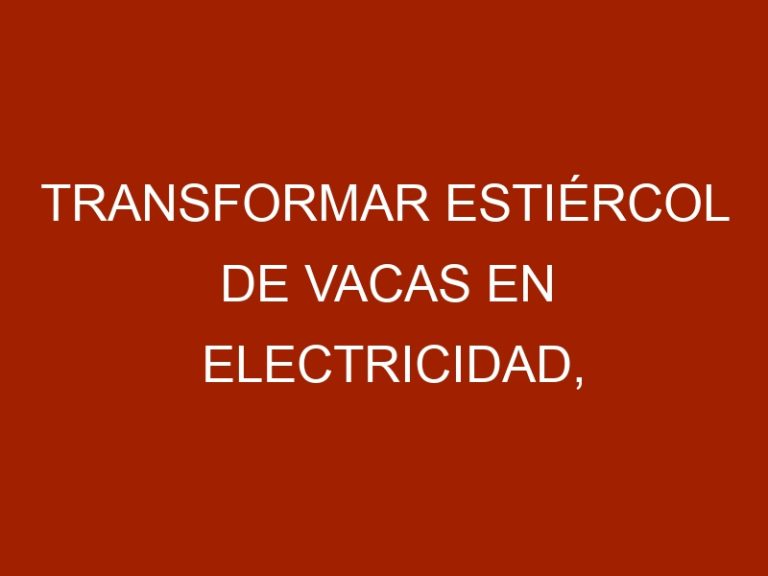 Transformar estiércol de vacas en electricidad, buen negocio en una granja
