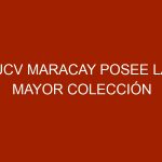 UCV Maracay posee la mayor colección entomológica