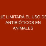 UE limitará el uso de antibióticos en animales por efectos en la salud humana