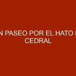 Un paseo por el Hato El Cedral