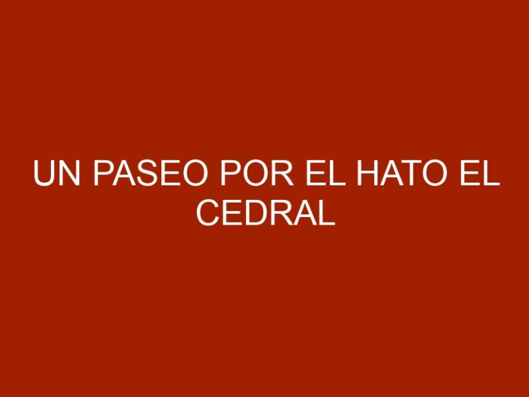 Un paseo por el Hato El Cedral