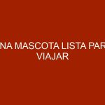 Una mascota lista para viajar